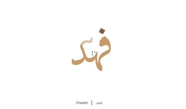 Designer biến chữ Ả-rập phức tạp thành những hình minh họa cho dễ nhớ, vừa đẹp lại vừa chuẩn nghĩa - Ảnh 13.