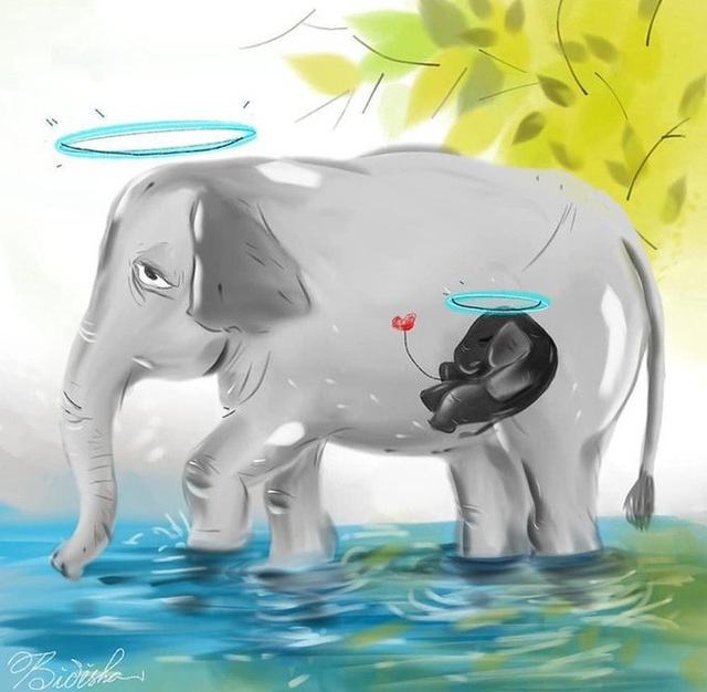  Bom mồi - vũ khí tước đi mạng sống của voi mang thai tại Ấn Độ - Ảnh 2.