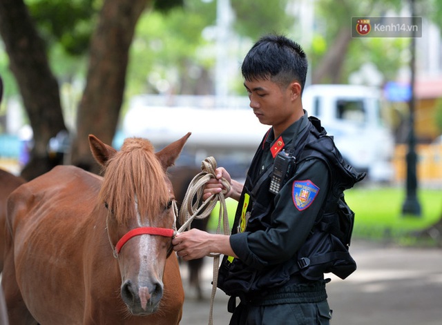 Chùm ảnh: Đội Kỵ binh Cảnh sát cơ động diễu hành trên Quảng trường Ba Đình - Ảnh 7.