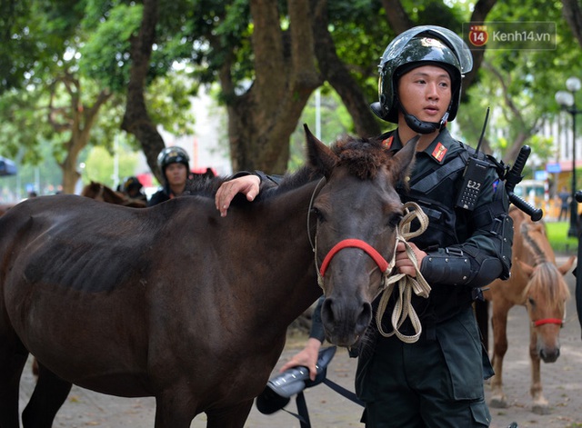 Chùm ảnh: Đội Kỵ binh Cảnh sát cơ động diễu hành trên Quảng trường Ba Đình - Ảnh 8.