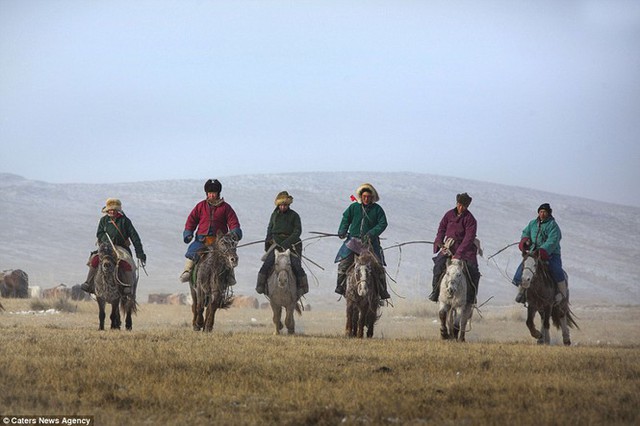 Ngựa của Thành Cát Tư Hãn và cảnh sát kị binh Mông Cổ ngày nay - Ảnh 2.