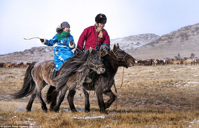 Ngựa của Thành Cát Tư Hãn và cảnh sát kị binh Mông Cổ ngày nay - Ảnh 4.