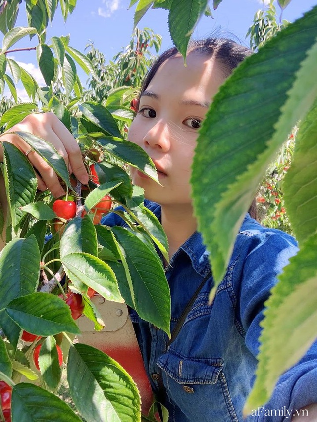 Cặp vợ Việt chồng Mỹ kể lại hành trình tự lái xe đi du lịch khám phá khắp núi rừng nước Mỹ, vào vườn trái cây đẹp như trên phim trong chuỗi ngày tránh dịch Covid-19 - Ảnh 20.