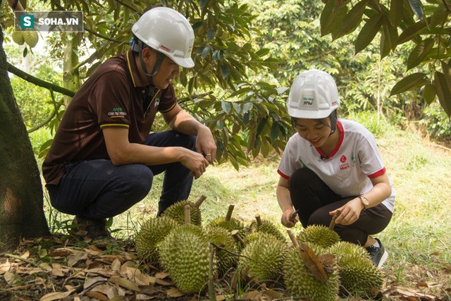 Cách làm sầu riêng không giống ai của ông chủ vựa sầu riêng chín tự nhiên đắt nhất nhì Việt Nam - Ảnh 4.