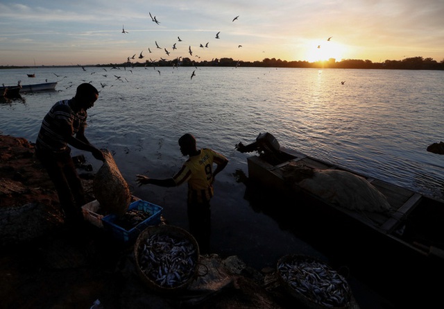 Siêu đập Đại Phục hưng buộc dân sông Nile lựa chọn đau đớn: Sống trong sợ hãi hay dứt bỏ máu thịt - Ảnh 6. Siêu đập Đại Phục hưng buộc dân sông Nile lựa chọn đau đớn: Sống trong sợ hãi hay dứt bỏ máu thịt - Ảnh 6.