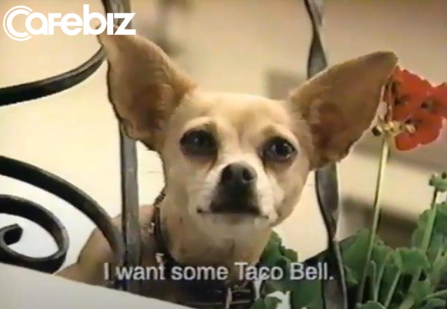 Chiến dịch quảng cáo khiến CEO của Taco Bell bị sa thải: Marketing tốt là giúp thương hiệu kiếm được tiền - Ảnh 2.