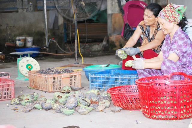 Cách Hà Nội chừng 50 cây số, có một ngôi làng người người bỏ nghề công nhân về quê kiếm tiền triệu nhờ loài hoa đặc trưng này - Ảnh 4.