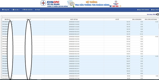 Điện lực Đà Nẵng phát triển hệ thống tra cứu chỉ số điện theo ngày, khách hàng có thể tự theo dõi, kiểm tra tiền điện của mình - Ảnh 1.