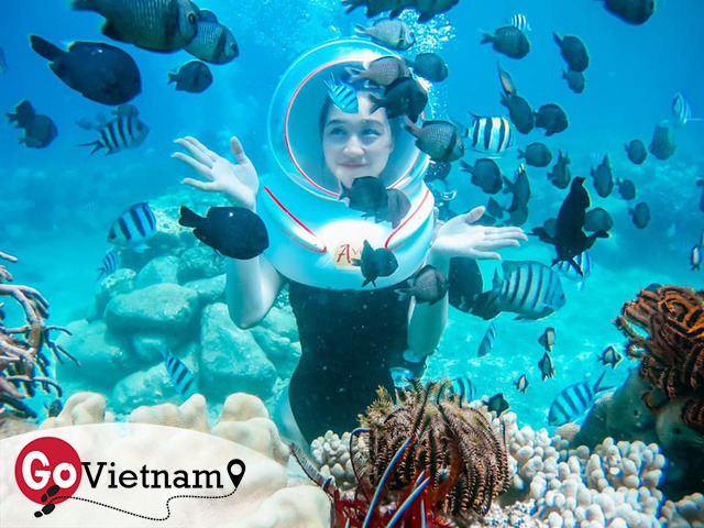 Thử trọn gói dịch vụ 5 sao ở Nha Trang: Đi bộ dưới biển, bay dù lượn, tắm bùn. Chỉ hết 8 triệu? - Ảnh 17.