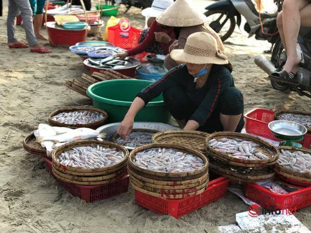 Khám phá chợ “mực nháy, cá nhảy” tờ mờ sáng ở Đà Nẵng - Ảnh 6.