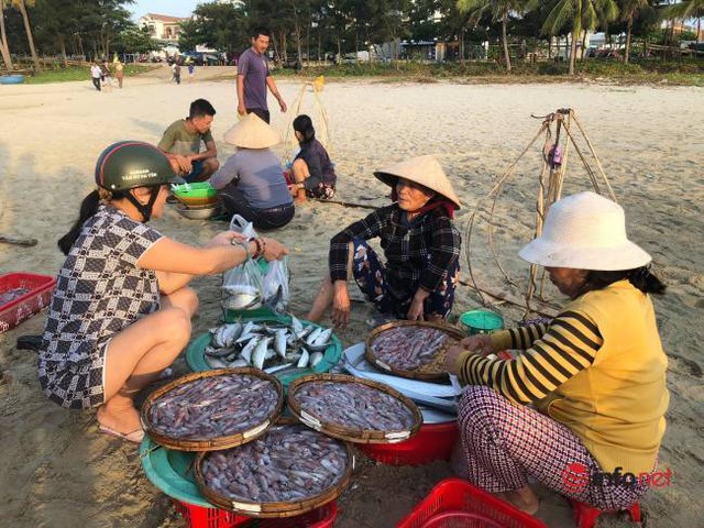 Khám phá chợ “mực nháy, cá nhảy” tờ mờ sáng ở Đà Nẵng - Ảnh 7.