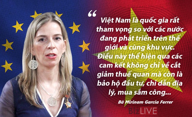 Hiệp định EVFTA qua góc nhìn “người trong cuộc” - Ảnh 7.