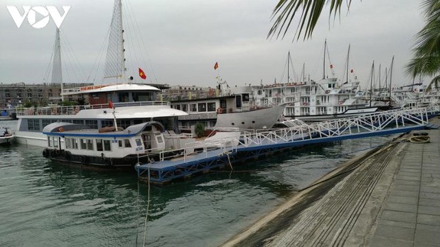 Hơn 100 hộ kinh doanh tàu du lịch Quảng Ninh xin tạm dừng hoạt động - Ảnh 1.