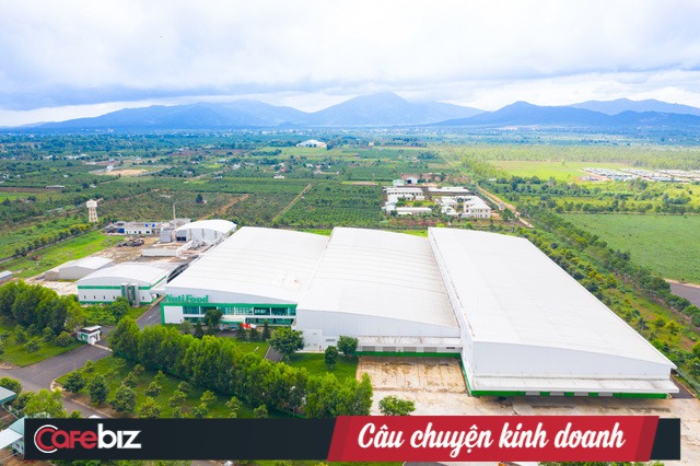 Sau 2 năm đổ nghìn tỷ vào trang trại bò sữa, NutiFood thu được gì? - Ảnh 1. Sau 2 năm đổ nghìn tỷ vào trang trại bò sữa, NutiFood thu được gì? - Ảnh 1.