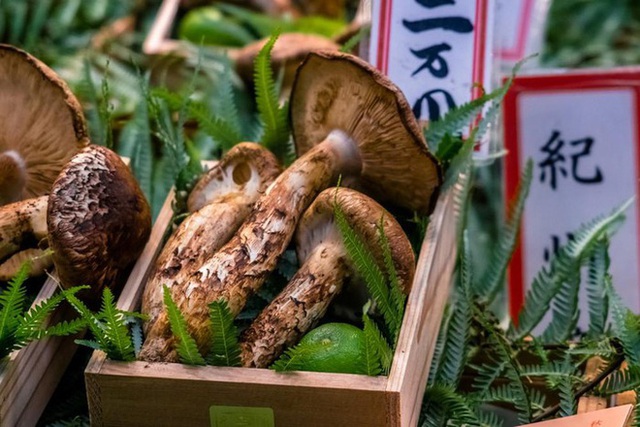  Tới mùa ăn chay, giới nhà giàu săn tìm loại nấm có giá hàng chục triệu đồng 1kg - Ảnh 1.