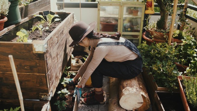 Mảnh vườn nhỏ mà có võ: Mẹ Việt ở Đức biến hoá ban công chỉ 8 mét vuông thành góc nhỏ đáp ứng 50% nhu cầu bữa ăn gia đình - Ảnh 5.