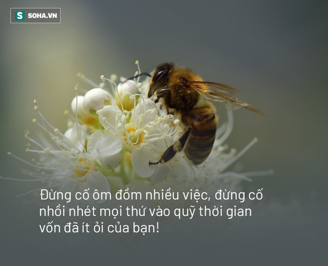  Chỉ cần làm được 1 việc này, con người sẽ bớt được mệt mỏi, muộn phiền: Bạn có biết đó là việc gì? - Ảnh 1.