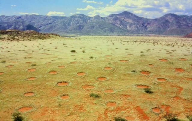 Bí ẩn về những vòng tròn cổ tích tại Namibia - Ảnh 1.