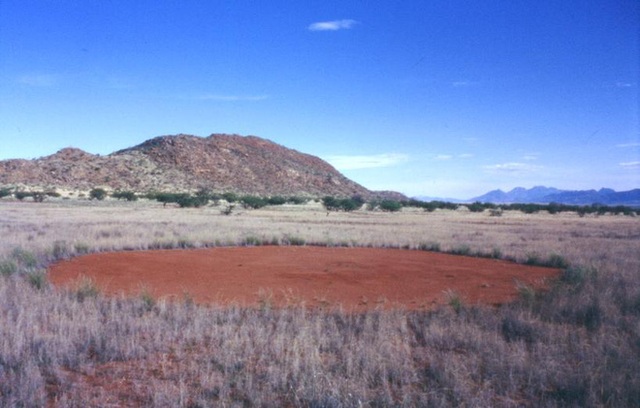 Bí ẩn về những vòng tròn cổ tích tại Namibia - Ảnh 2.