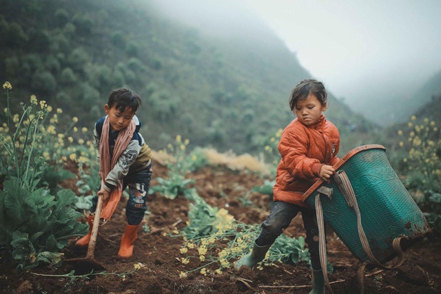  2 bé HMông cặm cụi cuốc đất, gieo hạt phụ bố mẹ và nụ cười khiến bao người tan chảy - Ảnh 3.