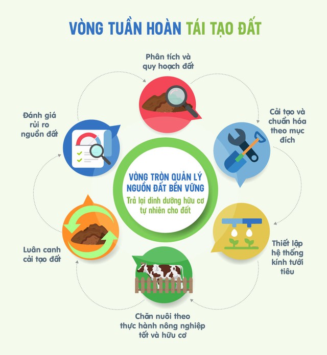 Kinh tế tuần hoàn - Tư duy và tầm nhìn của những “người mở đường” - Ảnh 4.