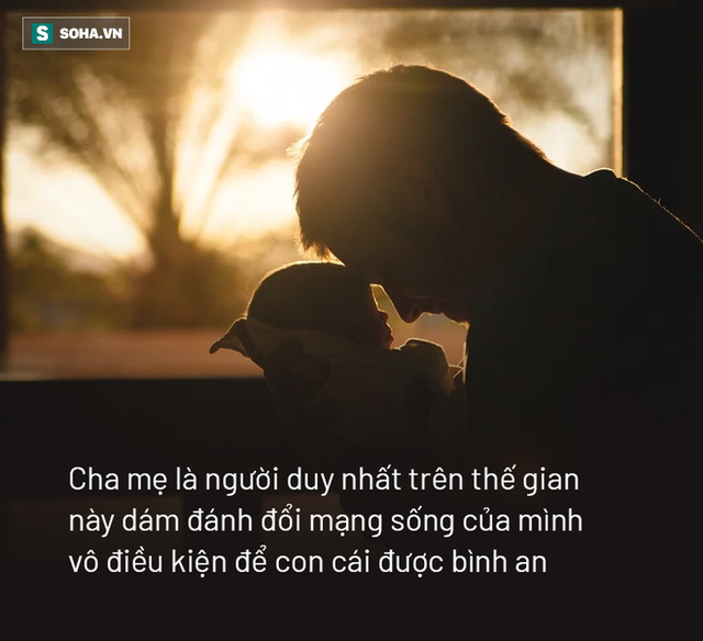 Cứu con trai khỏi sự truy sát của kẻ thù, 3 ngày sau, cụ già chứng kiến cảnh tượng chưa từng thấy trong đời - Ảnh 1. Cứu con trai khỏi sự truy sát của kẻ thù, 3 ngày sau, cụ già chứng kiến cảnh tượng chưa từng thấy trong đời - Ảnh 1.