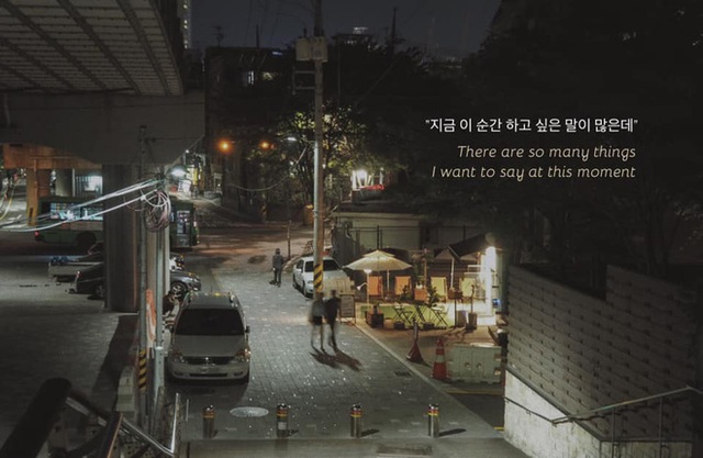 Bộ ảnh xem xong trào dâng thương nhớ Seoul: Đã đến mùa nơi này đẹp nhất, nhưng năm nay ta không thể gặp nhau - Ảnh 12.