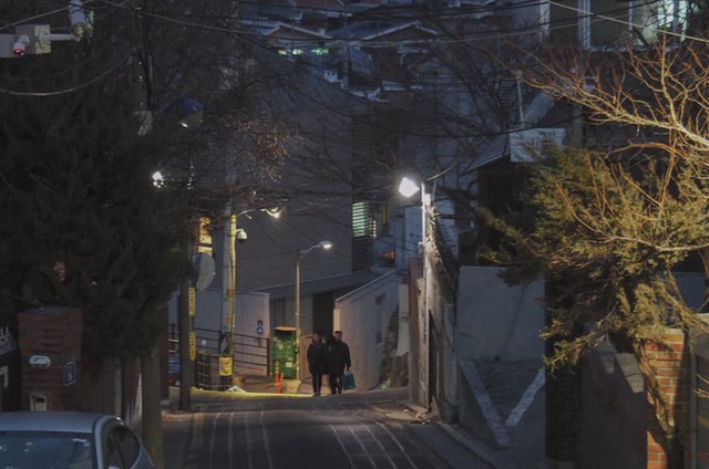 Bộ ảnh xem xong trào dâng thương nhớ Seoul: Đã đến mùa nơi này đẹp nhất, nhưng năm nay ta không thể gặp nhau - Ảnh 15.