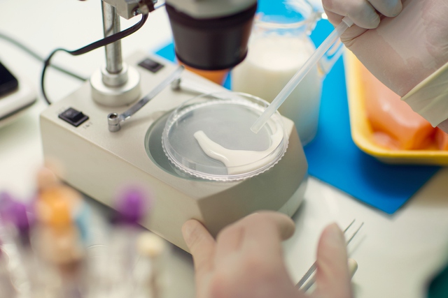 Các nhà khoa học sắp tìm ra cách chế biến sữa mẹ trong phòng thí nghiệm để thay thế sữa công thức - Ảnh 1.