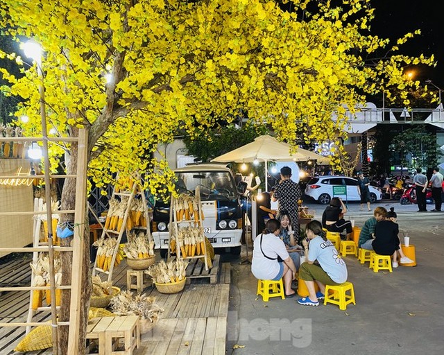 Đường phố TPHCM lung linh trang trí trâu vàng đón Tết Tân Sửu - Ảnh 9.