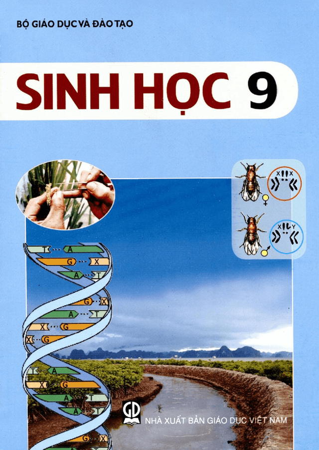 Giải thích con đường biến chủng của virus SARS-CoV-2 bằng kiến thức sinh học lớp 9 - Ảnh 1.