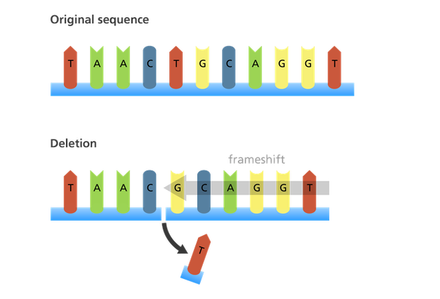 Giải thích con đường biến chủng của virus SARS-CoV-2 bằng kiến thức sinh học lớp 9 - Ảnh 3.