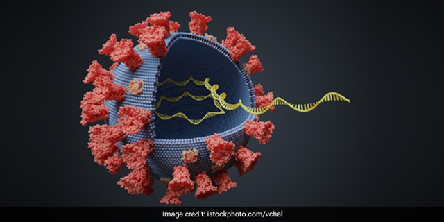 Giải thích con đường biến chủng của virus SARS-CoV-2 bằng kiến thức sinh học lớp 9 - Ảnh 7.