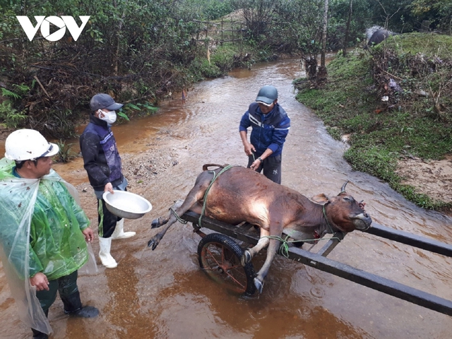  Miền Trung rét chưa từng thấy  - Ảnh 4.