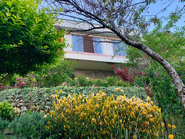 Leaving Saigon, the couple went to Da Lat to build a house facing the valley, looking at the beautiful fairy-tale garden of cherry blossoms - Photo 11.