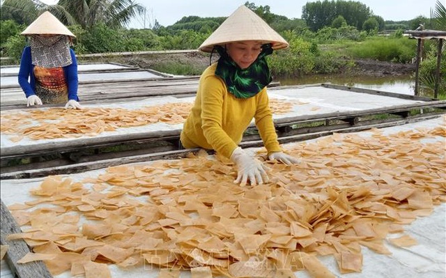 Cơ sở sản xuất bánh phồng tôm Kim Tiền phơi bánh phồng tôm sau khi cắt nhỏ. Ảnh tư liệu: Hồng Nhung/TTXVN