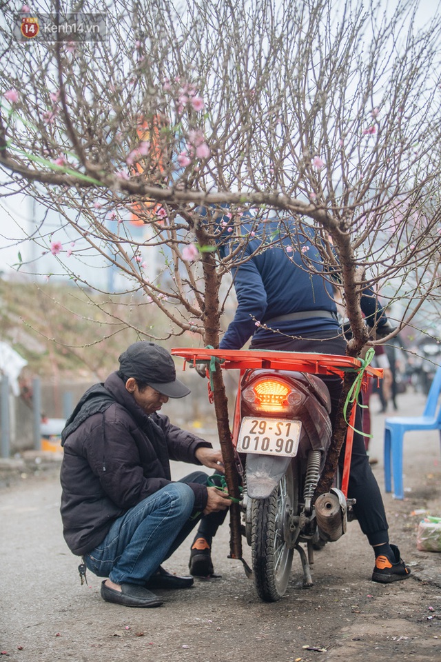 Ảnh: Trời lạnh sương mờ, làng đào Nhật Tân khoe sắc, đúng là Tết đang đến rất gần rồi! - Ảnh 13.