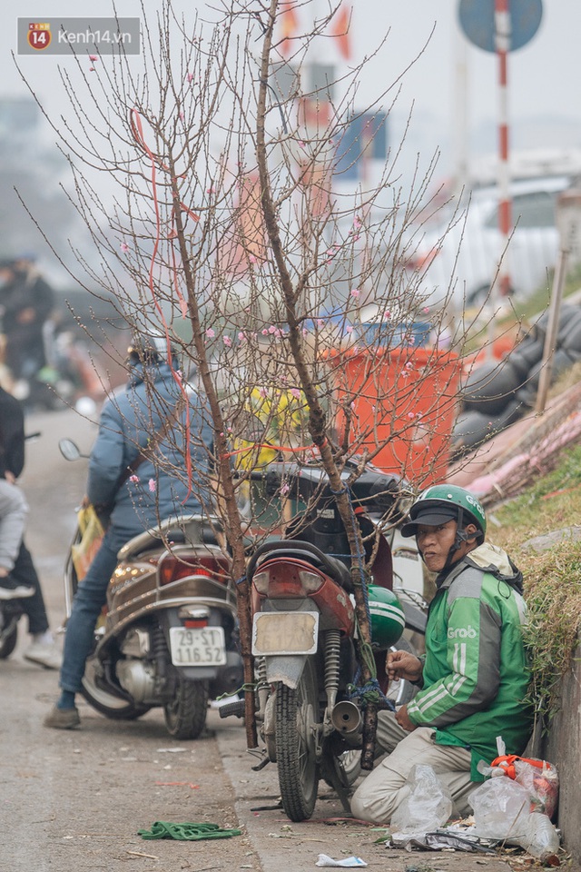 Ảnh: Trời lạnh sương mờ, làng đào Nhật Tân khoe sắc, đúng là Tết đang đến rất gần rồi! - Ảnh 14.