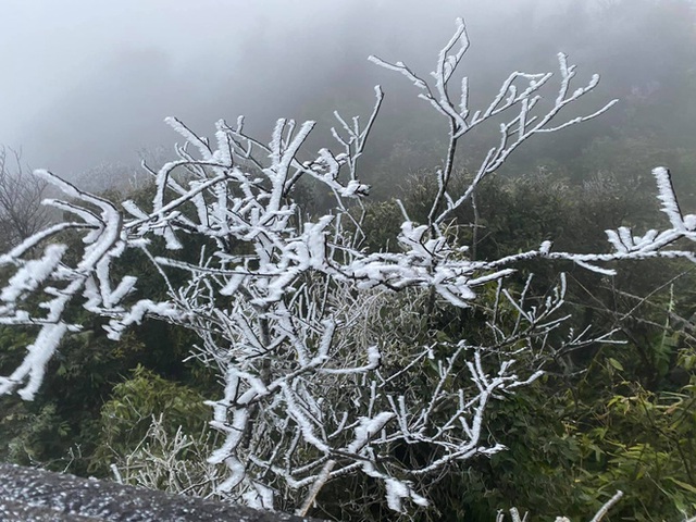 Sáng nay đỉnh Mẫu Sơn, Phia Oắc cây cối đóng băng, nhiều du khách thích thú chụp ảnh check in - Ảnh 5.