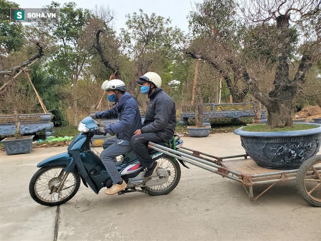  Dựng lều dã chiến trong tiết trời lạnh 8 độ bán đào cảnh trăm triệu, hàng khủng chơi Tết - Ảnh 7.