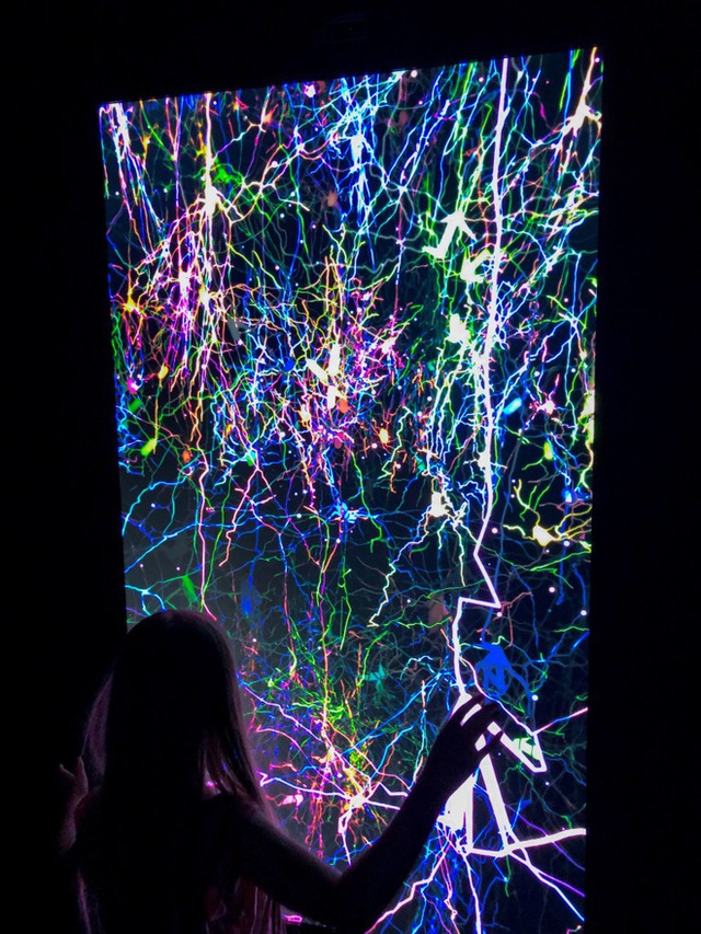 Vòng đời của neuron: Một chuyến du hành vào bên trong não bộ - Ảnh 4.