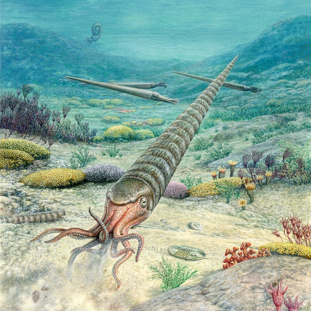 Sự kiện tuyệt chủng kỷ Ordovic: lần đầu tiên sự sống Trái Đất biết tới mùi cay đắng - Ảnh 2.