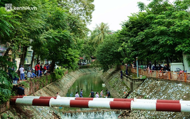  Hà Nội: Sông Tô Lịch bất ngờ chuyển màu xanh ngắt, người dân mang theo bao bắt hàng trăm cân cá đem về - Ảnh 9.