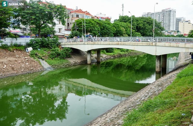 [ẢNH] Cận cảnh dòng nước xanh ngắt hiếm thấy tại sông Tô Lịch, cá bơi nhộn nhịp hàng đàn - Ảnh 3.