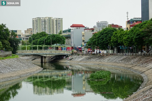[ẢNH] Cận cảnh dòng nước xanh ngắt hiếm thấy tại sông Tô Lịch, cá bơi nhộn nhịp hàng đàn - Ảnh 4.