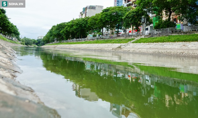 [ẢNH] Cận cảnh dòng nước xanh ngắt hiếm thấy tại sông Tô Lịch, cá bơi nhộn nhịp hàng đàn - Ảnh 5.