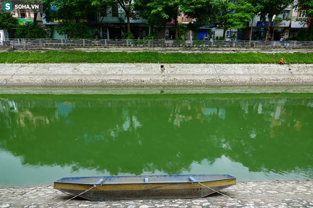 [ẢNH] Cận cảnh dòng nước xanh ngắt hiếm thấy tại sông Tô Lịch, cá bơi nhộn nhịp hàng đàn - Ảnh 6.
