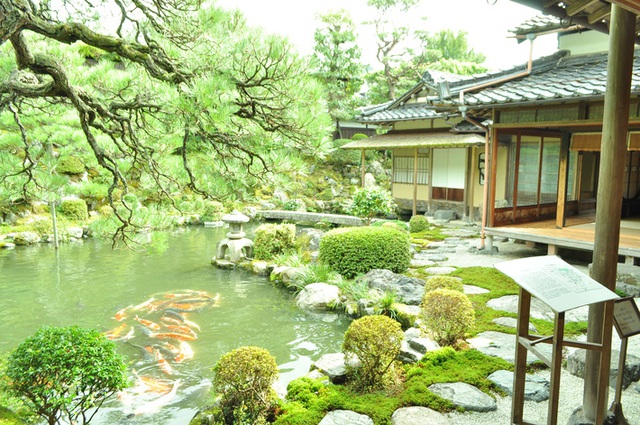 Những ngôi nhà an yên đẹp tựa tranh vẽ ở vùng nông thôn Nhật  - Ảnh 13.