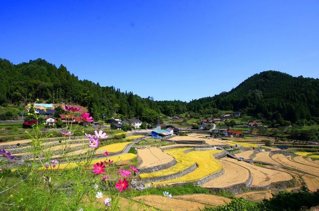 Những ngôi nhà an yên đẹp tựa tranh vẽ ở vùng nông thôn Nhật  - Ảnh 18.