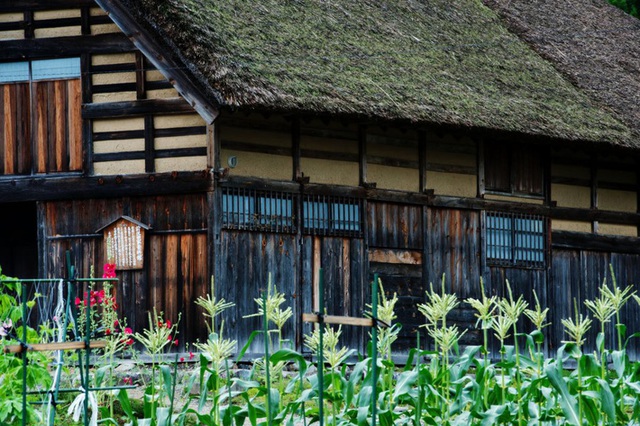 Những ngôi nhà an yên đẹp tựa tranh vẽ ở vùng nông thôn Nhật  - Ảnh 26.